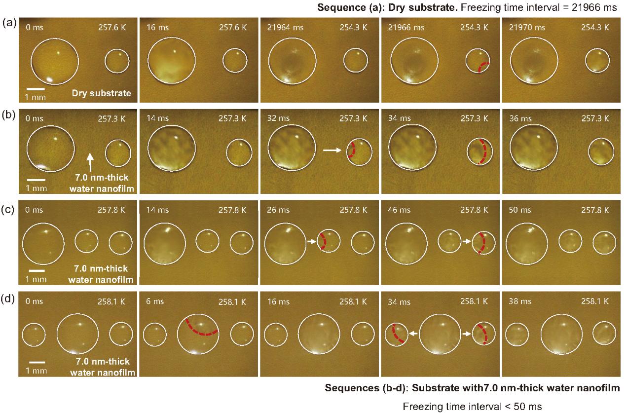 Water-nanofilm-mediated freezing propagation across droplets